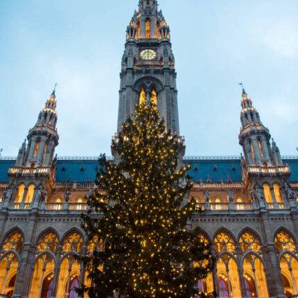 Ayuntamiento de Viena, navidad